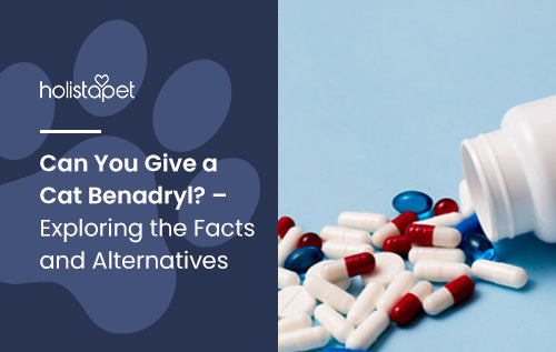 Can You Give a Cat Benadryl? – Exploring the Facts and Alternatives