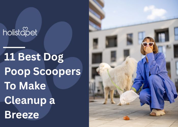 11 Best Dog Poop Scoopers Feature Image by HolistaPet