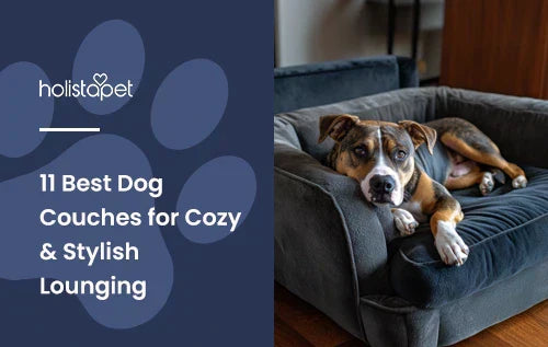 A pitbull laying down on a dog couch.