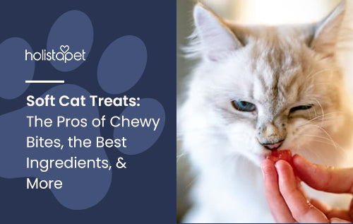 Soft Cat Treats: The Pros of Chewy Bites, the Best Ingredients, & More
