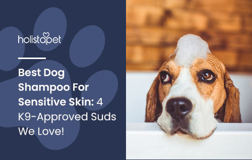 Best Dog Shampoo For Sensitive Skin: 4 K9-Approved Suds We Love!
