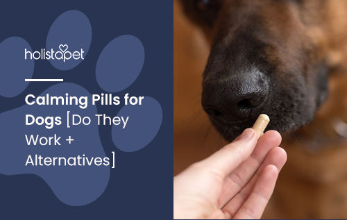 Calming Pills for Dogs [Do They Work + Alternatives]