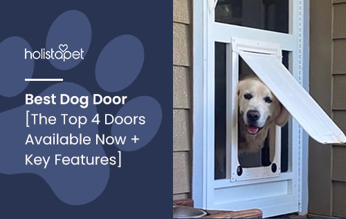 Best Dog Door [The Top 4 Doors Available Now + Key Features]