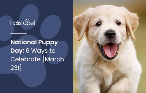 National Puppy Day: 6 Ways to Celebrate [March 23!]
