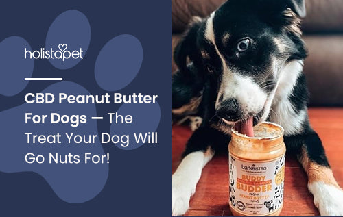 CBD Peanut Butter For Dogs — The Treat Your Dog Will Go Nuts For!