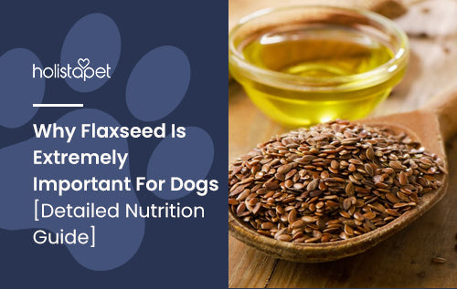 Why Flaxseed Is Extremely Important For Dogs [Detailed Nutrition Guide]
