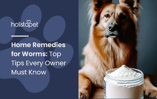 Home Remedies for Worms: Top Tips Every Owner Must Know