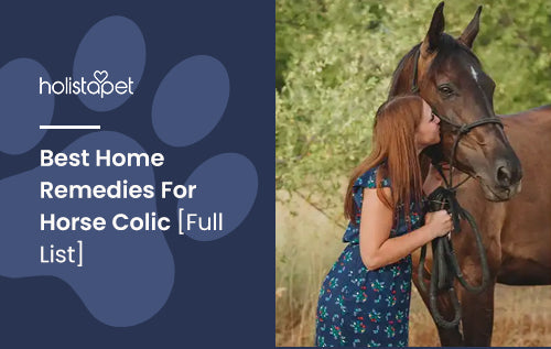 Best Home Remedies For Horse Colic [Full List]