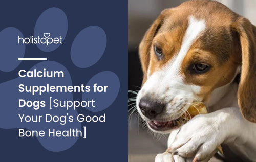 Calcium Supplements for Dogs [Support Your Dog's Good Bone Health]