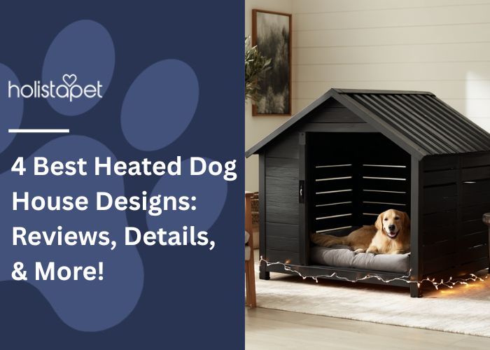 Heated Dog House Designs Featured Image by Holistapet