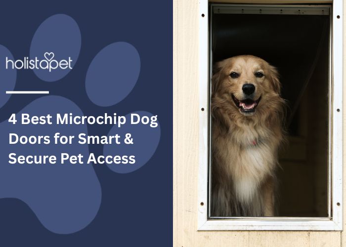 4 Best Microchip Dog Doors for Smart & Secure Pet Access Feature Image by Holistapet