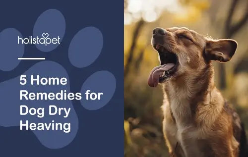 5 home remedies for dry heaving