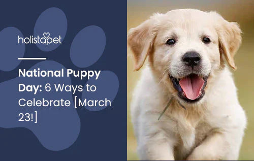 When is National Puppy Day