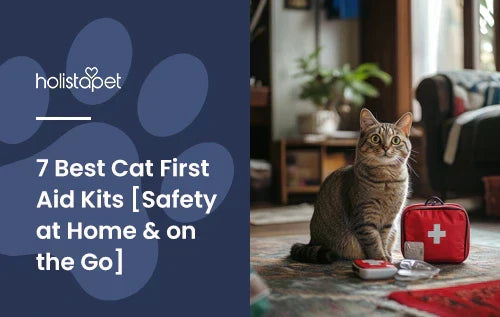 A cat sitting down in a living room next to a first aid kit.