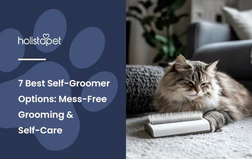 A white and black cat lying down next to a self groomer.