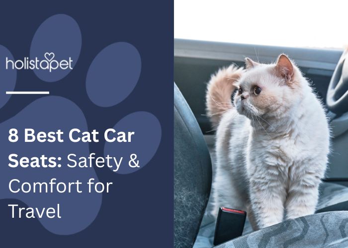8 Best Cat Car Seats: Safety & Comfort for Travel