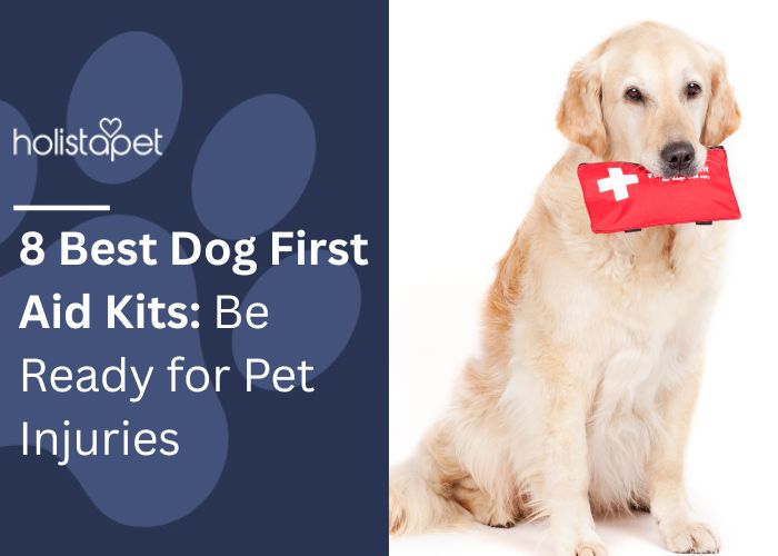 8 Best Dog First Aid Kits Feature Image by HolistaPet