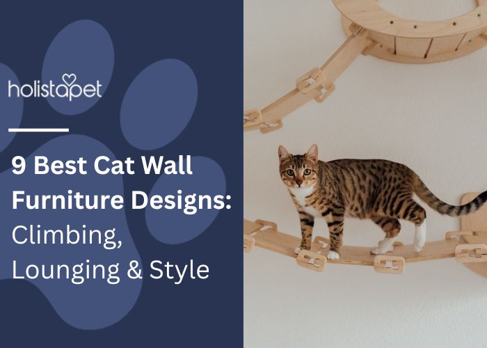 9 Best Call Wall Furniture Designs