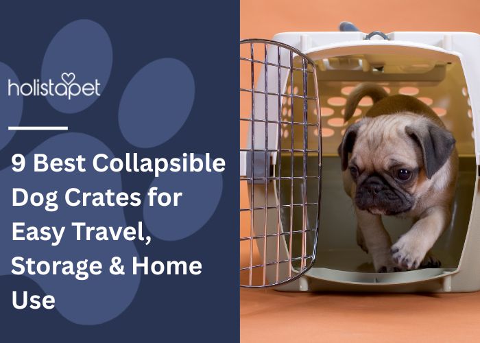 9 Best Collapsible Dog Crates Feature Image By Holistapet