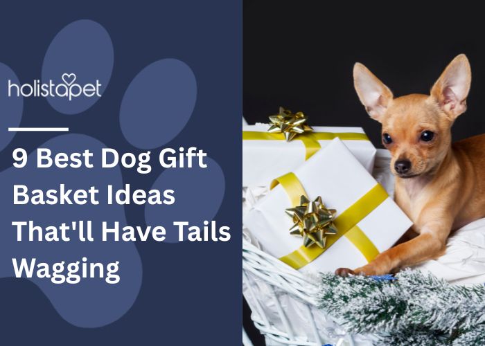 9 Best Dog Gift Basket Ideas Feature Image by HolistaPet