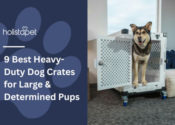 9 Best Heavy-Duty Dog Crates for Large & Determined Pups Feature Image by HolistaPet