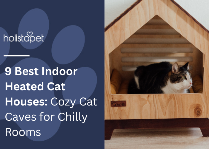 9 Best Indoor Heated Cat Houses featured blog image by Holistapet. Shows a cat comfortably resting inside a wooden indoor pet house with a cozy interior.