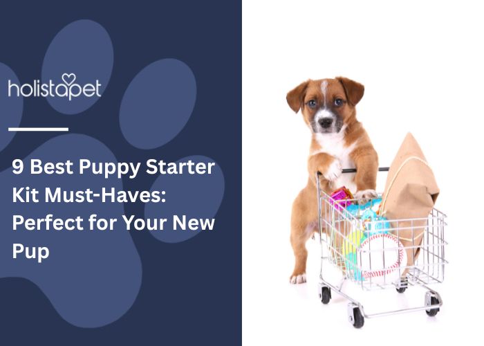 9 Best Puppy Starter Kit Must-Haves Feature Image by HolistaPet