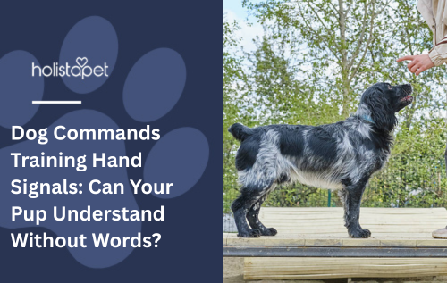 Dog Commands Training Hand Signals: Can Your Pup Understand Without Words?