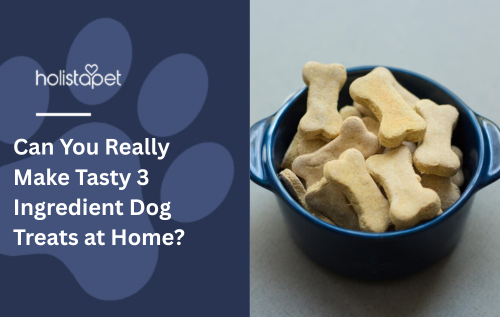 Can You Really Make Tasty 3 Ingredient Dog Treats at Home?