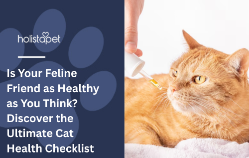 Is Your Feline Friend as Healthy as You Think? Discover the Ultimate Cat Health Checklist