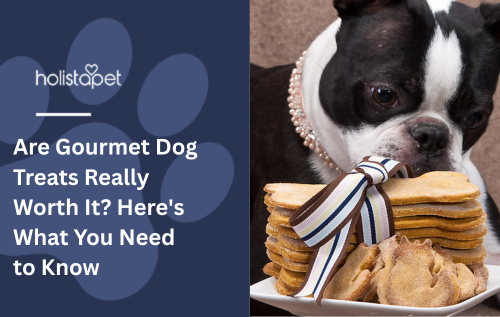 Are Gourmet Dog Treats Really Worth It? Here's What You Need to Know