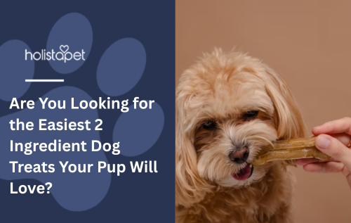 Are You Looking for the Easiest 2 Ingredient Dog Treats Your Pup Will Love?