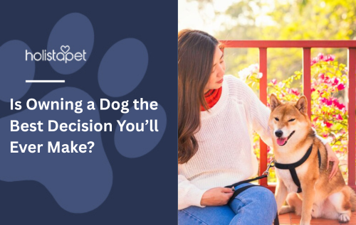 Is Owning a Dog the Best Decision You’ll Ever Make?