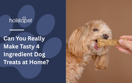 Can You Really Make Tasty 4 Ingredient Dog Treats at Home?