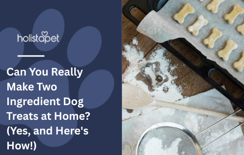 Can You Really Make Two Ingredient Dog Treats at Home? (Yes, and Here's How!)