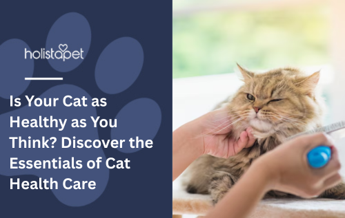 Is Your Cat as Healthy as You Think? Discover the Essentials of Cat Health Care