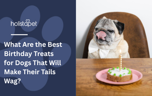 What Are the Best Birthday Treats for Dogs That Will Make Their Tails Wag?