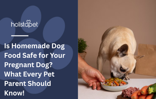 Is Homemade Dog Food Safe for Your Pregnant Dog? What Every Pet Parent Should Know!