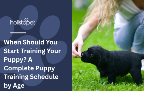 When Should You Start Training Your Puppy? A Complete Puppy Training Schedule by Age