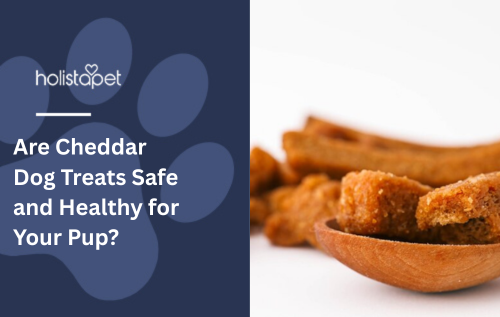 Are Cheddar Dog Treats Safe and Healthy for Your Pup?