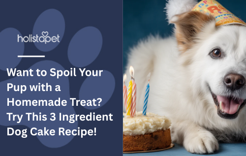 A white dog laying down next to a birthday cake.