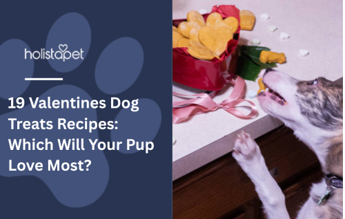 19 Valentines Dog Treats Recipes: Which Will Your Pup Love Most?