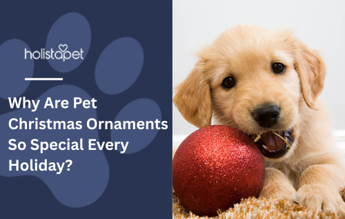 Why Are Pet Christmas Ornaments So Special Every Holiday?