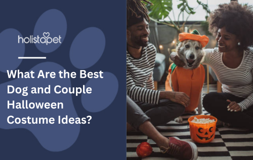 What Are the Best Dog and Couple Halloween Costume Ideas?