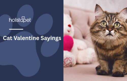 Cat Valentine Sayings