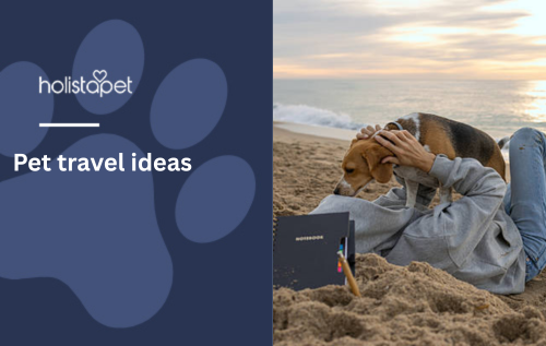 Pet travel ideas