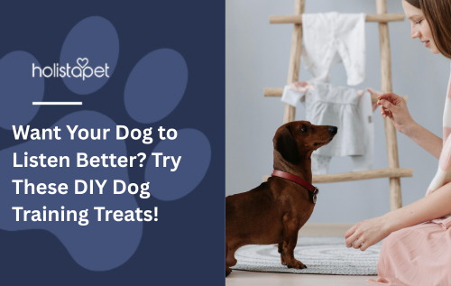 Want Your Dog to Listen Better? Try These DIY Dog Training Treats!