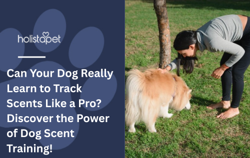 Can Your Dog Really Learn to Track Scents Like a Pro? Discover the Power of Dog Scent Training!