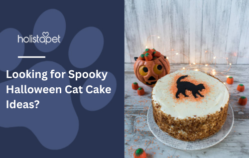 Looking for Spooky Halloween Cat Cake Ideas?