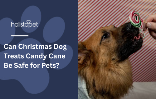Can Christmas Dog Treats Candy Cane Be Safe for Pets?